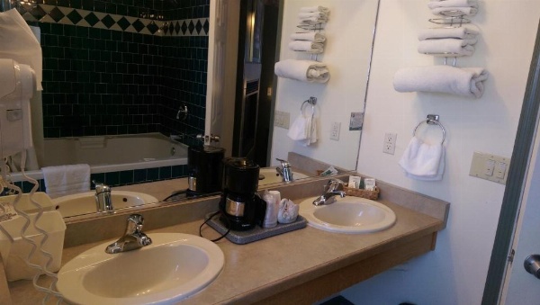Holland Inn & Suites image 26